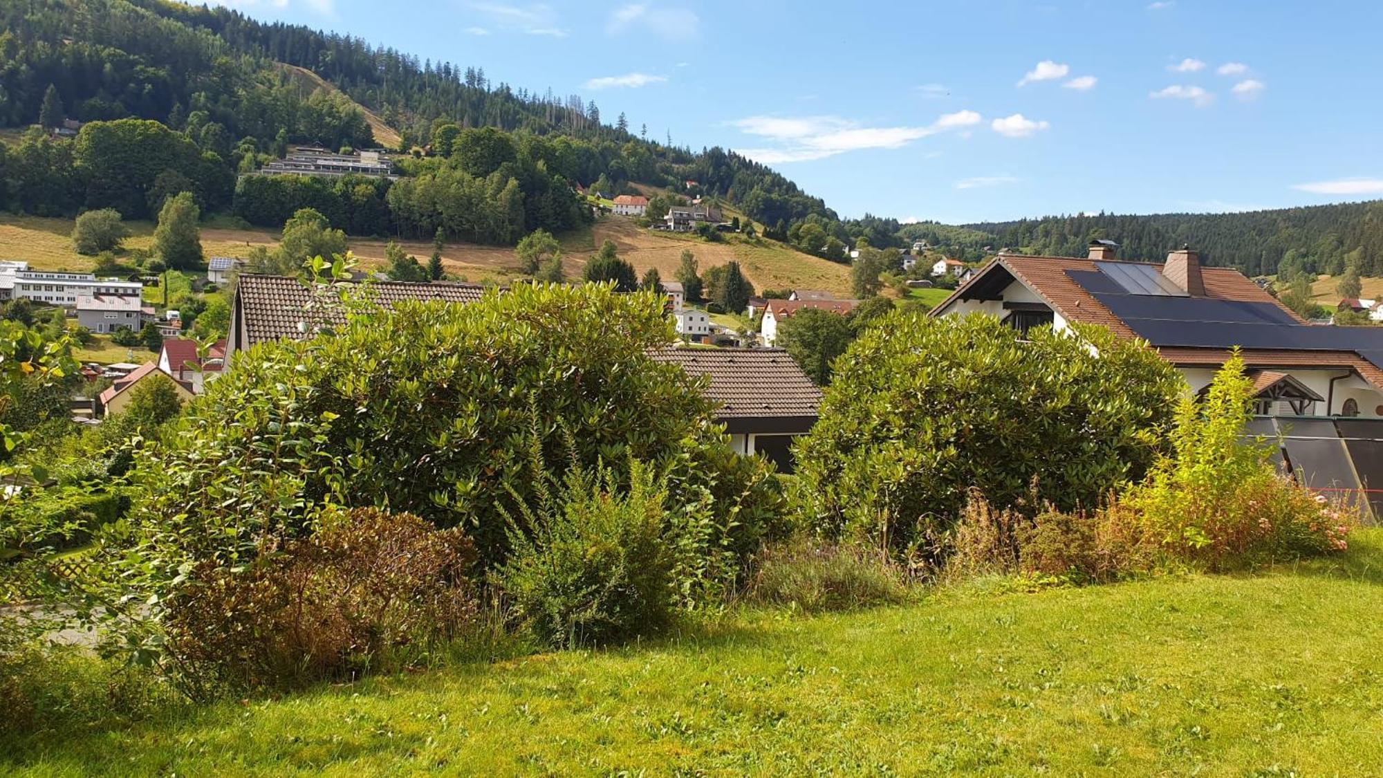 Green Hills Holiday House Warmensteinach Kültér fotó